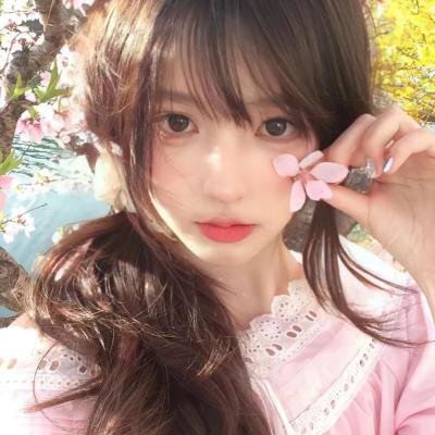 猫灵相册